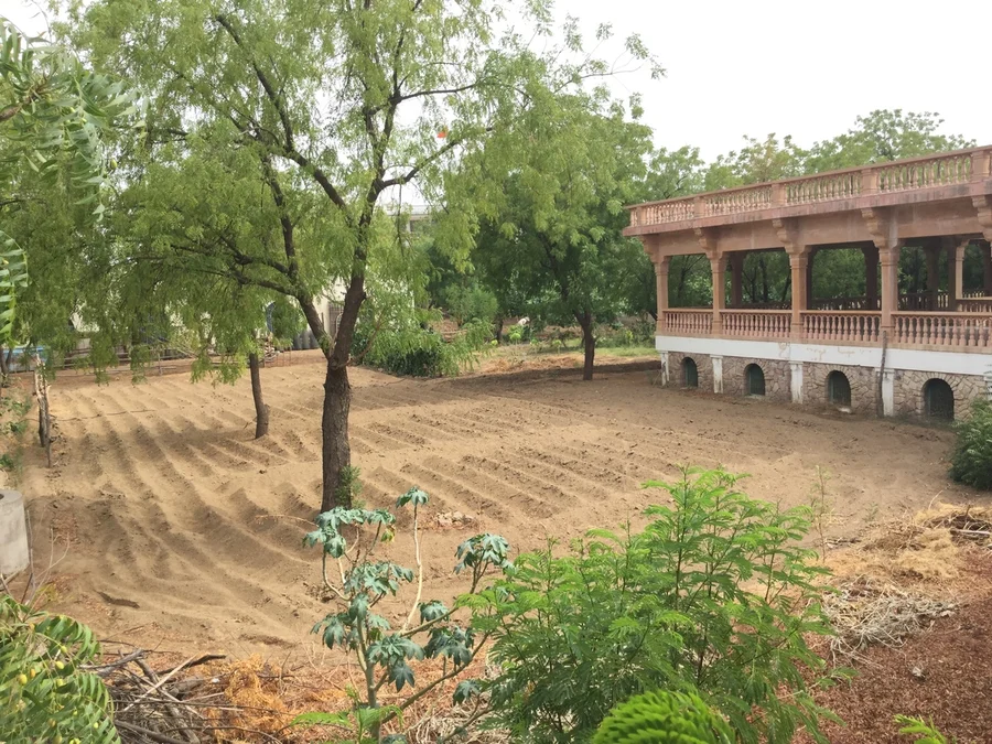 area behind office will be for pumpkin and bottle gourds